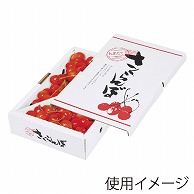 ギフト箱　さくらんぼバラ詰 1kg L-8104 25枚/束（ご注文単位4束）【直送品】