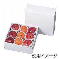 ギフトBOX　ホワイト 290角 LT-G8 25枚/束（ご注文単位2束）【直送品】