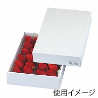 ギフト箱　パールFS 27 LTO-27FS 25枚/束（ご注文単位2束）【直送品】