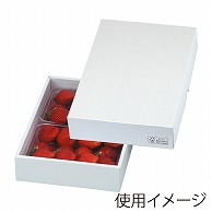 ギフト箱　パールFS 28 LTO-28FS 25枚/束（ご注文単位2束）【直送品】