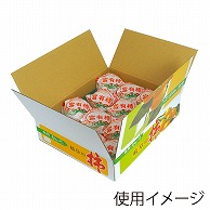 贈答用送り箱　カラー富有柿ケース 一段　小 LY-9004 10枚/束（ご注文単位1束）【直送品】