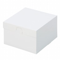 cotta ケーキ箱　ロックBOX　120 160角 76413　プレス 25枚/束（ご注文単位1束）【直送品】