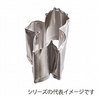 生抜 金魚　A 373009700 1個（ご注文単位1個）【直送品】