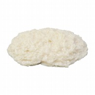 脂肪の塊　1kg　SI-010   1個（ご注文単位1個）【直送品】