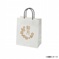 【オリジナル印刷】スムースB22－12　片艶・晒100G ベタ印刷なし1色印刷　1000枚 オプション　PP紐カラー替え 1000枚