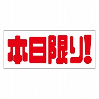 カミイソ産商 エースラベル 本日限り A-1991 500枚/袋（ご注文単位1袋）【直送品】