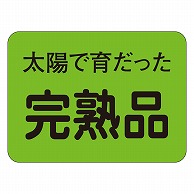 カミイソ産商 エースラベル 完熟品 H-1542 1000枚/袋（ご注文単位1袋）【直送品】