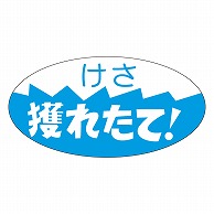 カミイソ産商 エースラベル 獲れたて M-0353 750枚/袋（ご注文単位1袋）【直送品】