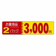 カミイソ産商 エースラベル お買得品 2パック 3000円 P-1269 500枚/袋（ご注文単位1袋）【直送品】