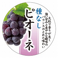 カミイソ産商 エースラベル 種なしピオーネ H-0211 300枚/袋（ご注文単位1袋）【直送品】