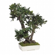 モノ・インターナショナル verdissimo　プリザーブドフラワー bto50　Tobira　BONSAI 50cm 1個（ご注文単位1個）【直送品】