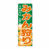 P・O・Pプロダクツ のぼり  H-384　みかん狩り 1枚（ご注文単位1枚）【直送品】