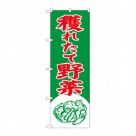 P・O・Pプロダクツ のぼり 穫れたて野菜 No.2247 1枚（ご注文単位1枚）【直送品】