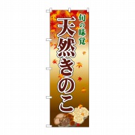 P・O・Pプロダクツ のぼり  2764　天然きのこ 1枚（ご注文単位1枚）【直送品】