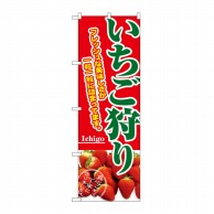 P・O・Pプロダクツ のぼり いちご狩り No.2877 1枚（ご注文単位1枚）【直送品】