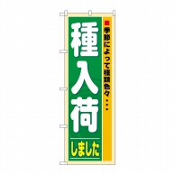 P・O・Pプロダクツ のぼり 種入荷 No.3250 1枚（ご注文単位1枚）【直送品】