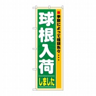 P・O・Pプロダクツ のぼり  3251　球根入荷 1枚（ご注文単位1枚）【直送品】