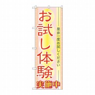 P・O・Pプロダクツ のぼり  7547　お試し体験 1枚（ご注文単位1枚）【直送品】