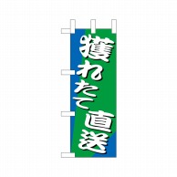 P・O・Pプロダクツ ミニのぼり  9537　獲れたて直送 1枚（ご注文単位1枚）【直送品】