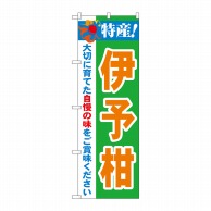 P・O・Pプロダクツ のぼり  21481　特産！伊予柑 1枚（ご注文単位1枚）【直送品】