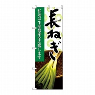 P・O・Pプロダクツ のぼり  21931　長ねぎ　写真 1枚（ご注文単位1枚）【直送品】