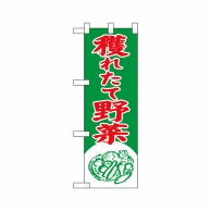 P・O・Pプロダクツ ハーフのぼり  22432　獲れたて野菜 1枚（ご注文単位1枚）【直送品】