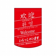 P・O・Pプロダクツ 変形タペストリー　円カット  24046　いらっしゃい3ヶ国 1枚（ご注文単位1枚）【直送品】