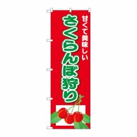 P・O・Pプロダクツ のぼり  26557　さくらんぼ狩り　甘くて美味しい 1枚（ご注文単位1枚）【直送品】