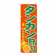 P・O・Pプロダクツ のぼり  SNB-6574　タンカン狩り 1枚（ご注文単位1枚）【直送品】