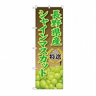 P・O・Pプロダクツ のぼり 長野県産　シャインマスカット SNB-9813 1枚（ご注文単位1枚）【直送品】