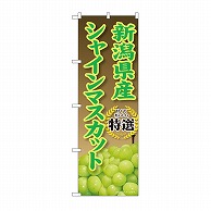 P・O・Pプロダクツ のぼり 新潟県産　シャインマスカット SNB-9815 1枚（ご注文単位1枚）【直送品】