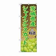 P・O・Pプロダクツ のぼり 茨城県産　シャインマスカット SNB-9816 1枚（ご注文単位1枚）【直送品】