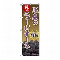 P・O・Pプロダクツ のぼり 玉島のニューピオーネ SNB-9831 1枚（ご注文単位1枚）【直送品】