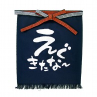 P・O・Pプロダクツ メッセージ帆前掛け 短タイプ 42650　えぐきたなー 1枚（ご注文単位1枚）【直送品】