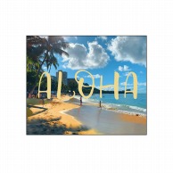 P・O・Pプロダクツ キャンバス F12 43204　ALOHA 1枚（ご注文単位1枚）【直送品】