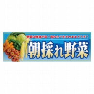 P・O・Pプロダクツ パネル  63932　朝採れ野菜 1枚（ご注文単位1枚）【直送品】