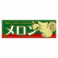 P・O・Pプロダクツ パネル  63938　メロン 1枚（ご注文単位1枚）【直送品】