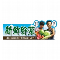 P・O・Pプロダクツ 変形パネル  63978　新鮮野菜 1枚（ご注文単位1枚）【直送品】