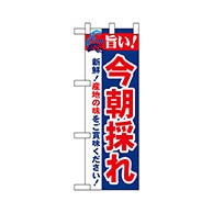 P・O・Pプロダクツ ハーフのぼり  68457　今朝採れ 1枚（ご注文単位1枚）【直送品】