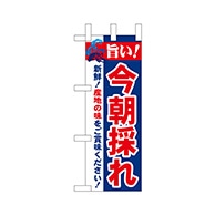 P・O・Pプロダクツ ミニのぼり  68458　今朝採れ 1枚（ご注文単位1枚）【直送品】