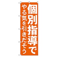 P・O・Pプロダクツ のぼり  GNB-60　個別指導でやる気を引き出そう 1枚（ご注文単位1枚）【直送品】