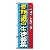 P・O・Pプロダクツ のぼり  GNB-69　夏期講習　生徒募集 1枚（ご注文単位1枚）【直送品】