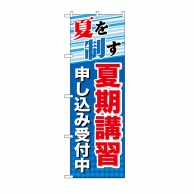 P・O・Pプロダクツ のぼり 夏を制す夏期講習 申し込み受付中 GNB-70 1枚（ご注文単位1枚）【直送品】