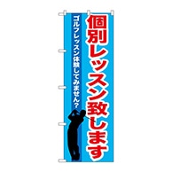 P・O・Pプロダクツ のぼり  GNB-542　個別レッスン致します 1枚（ご注文単位1枚）【直送品】