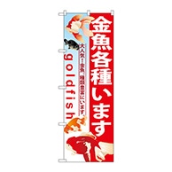 P・O・Pプロダクツ のぼり  GNB-581　金魚各種います 1枚（ご注文単位1枚）【直送品】