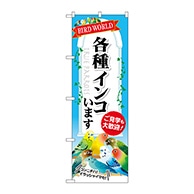 P・O・Pプロダクツ のぼり  GNB-609　各種インコいます 1枚（ご注文単位1枚）【直送品】