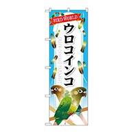 P・O・Pプロダクツ のぼり  GNB-612　ウロコインコ 1枚（ご注文単位1枚）【直送品】