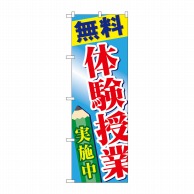 P・O・Pプロダクツ のぼり  GNB-778　無料体験授業実施中 1枚（ご注文単位1枚）【直送品】