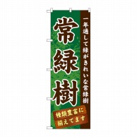 P・O・Pプロダクツ のぼり  GNB-1074　常緑樹 1枚（ご注文単位1枚）【直送品】