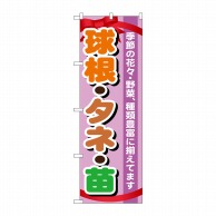 P・O・Pプロダクツ のぼり  GNB-1076　球根・タネ・苗 1枚（ご注文単位1枚）【直送品】